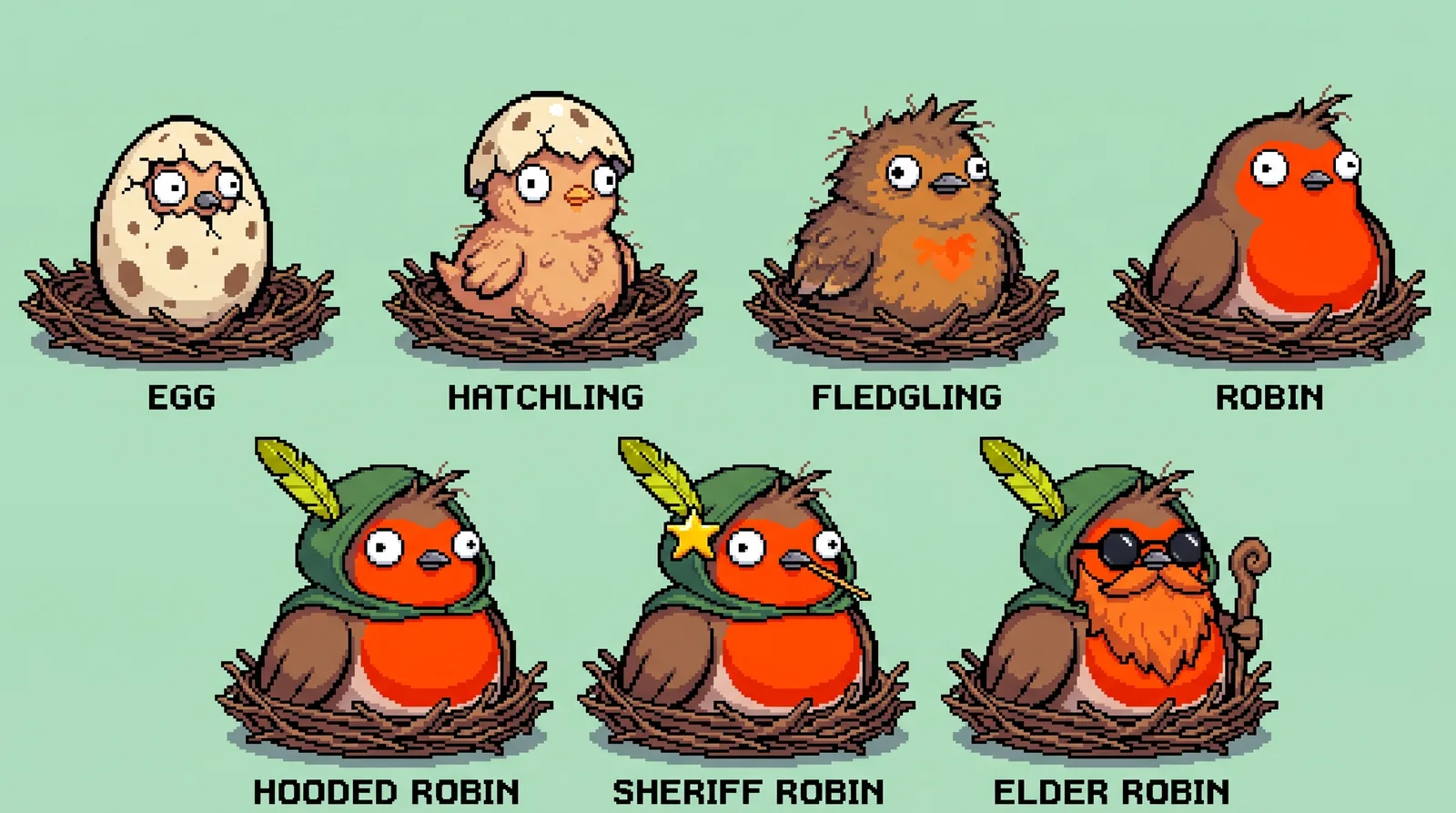 Evolution ladder: egg, hatchling, fledgling, robin, hooded robin, sheriff robin, elder robin